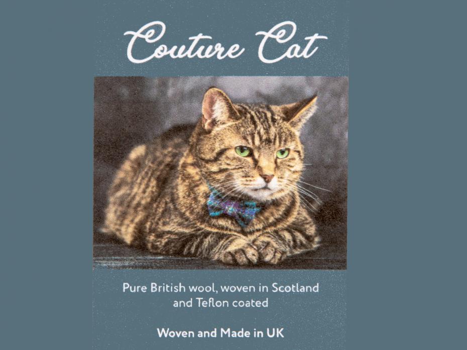 Couture Cat Collection