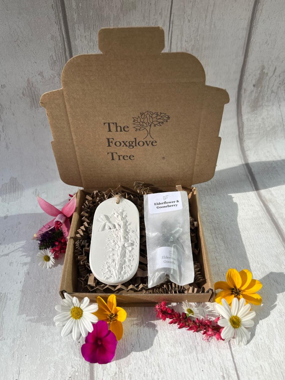 The Foxglove Tree Dragonfly Diffuser in box