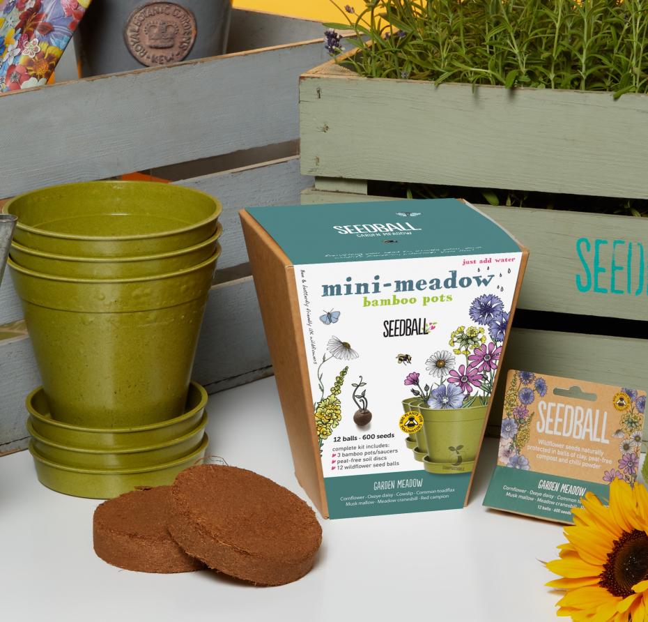 Grow Your Own Mini Meadow