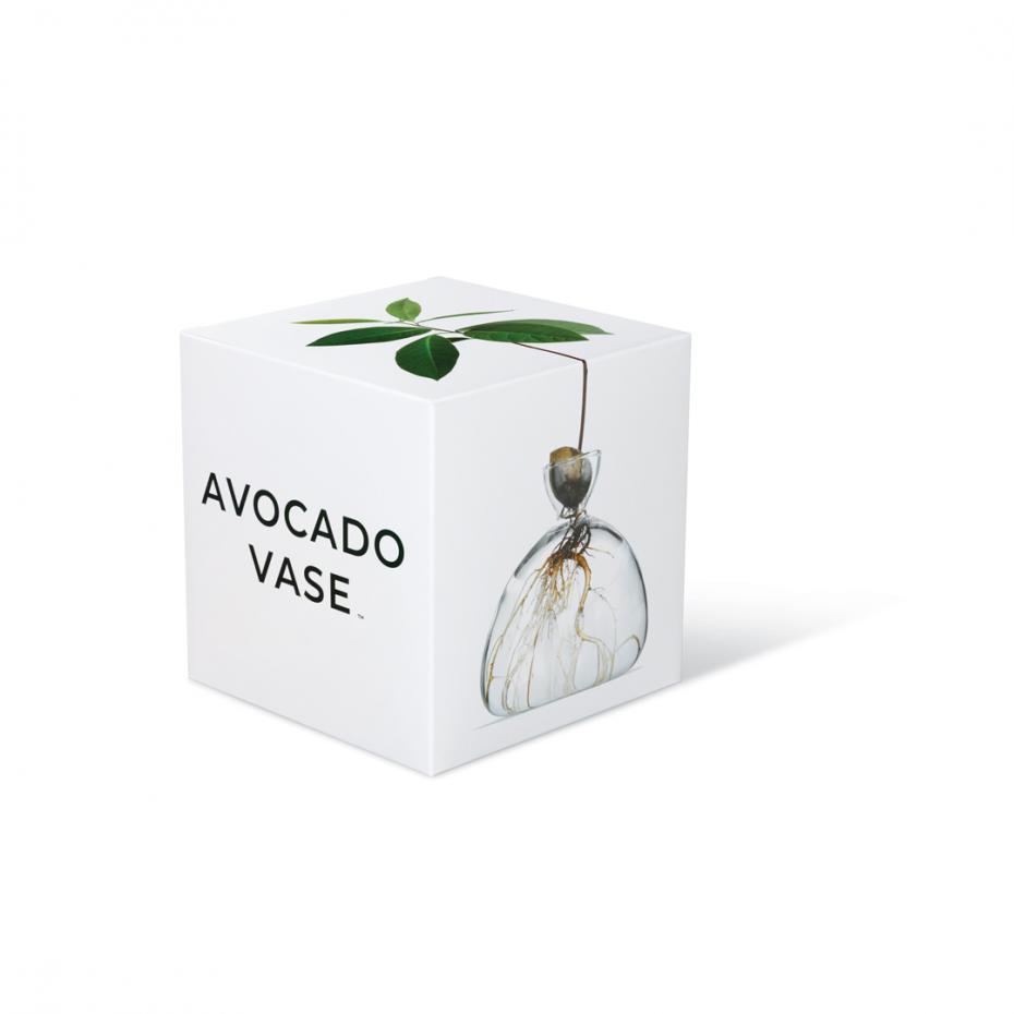 Avocado Vase