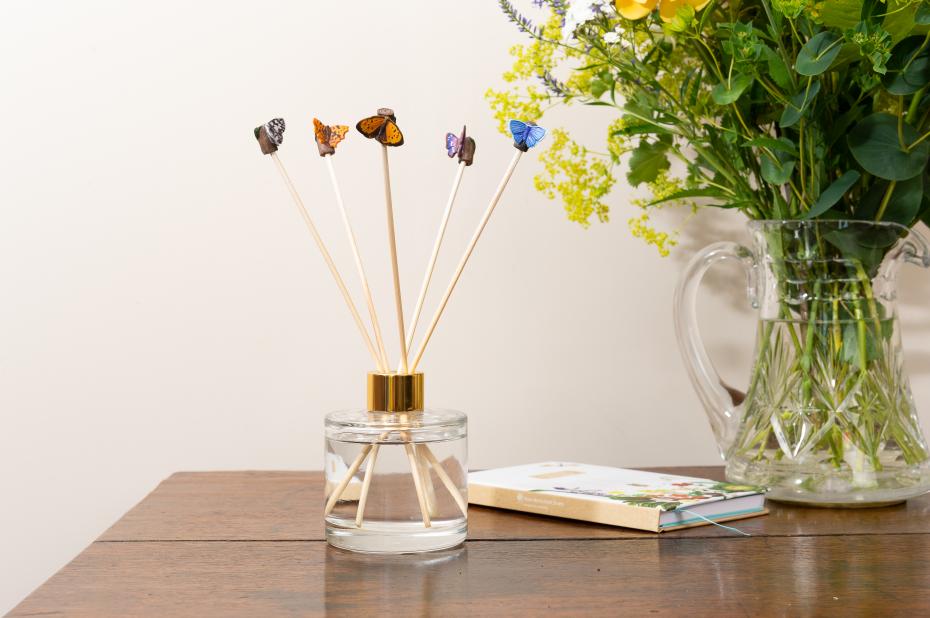 BRITISH BUTTERFLY LIFESTYLE IMAGE