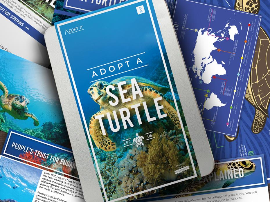 Adopt a Sea Turtle