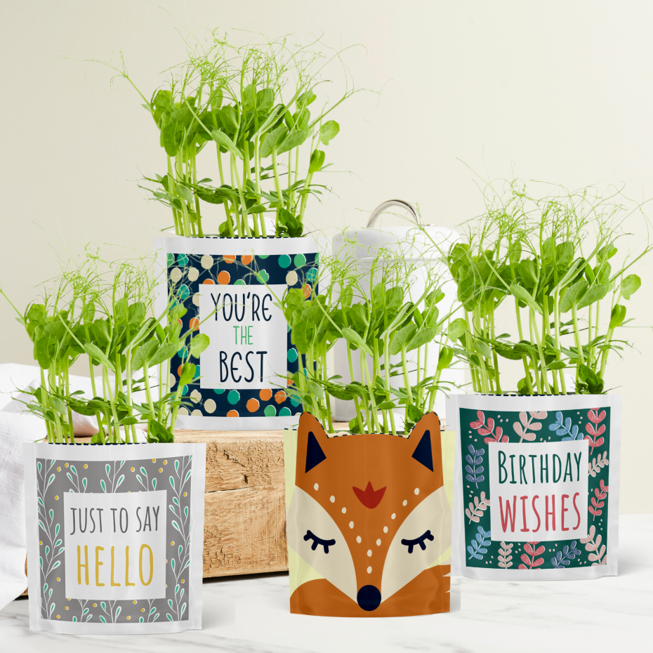 Greens & Greetings Cards