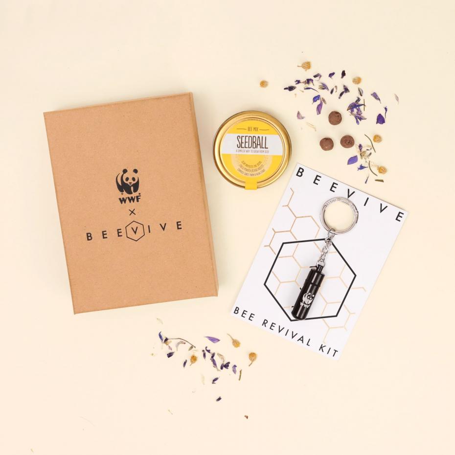 Bee Revival Kit Gift Set