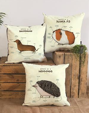 Anatomy Vegan-Suede Cushions by Sophie Corrigan for Wraptious