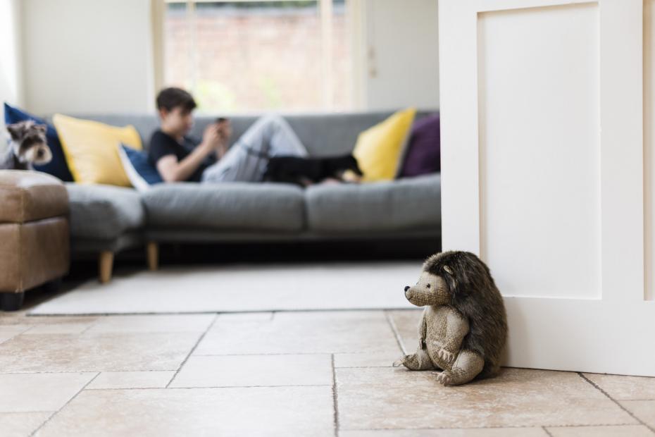 Bertie Bristles Hedgehog Doorstop