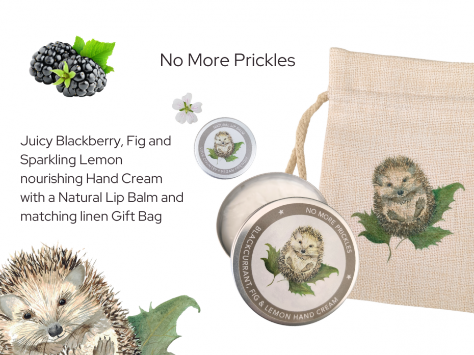 No More Prickles Beauty Gift Bag