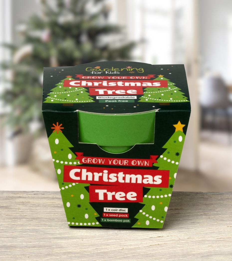 Grow Your Own Christmas Tree Growing Kit
