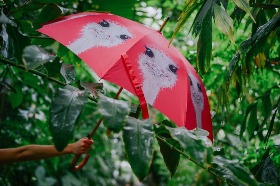 Camilla Ostrich Umbrella