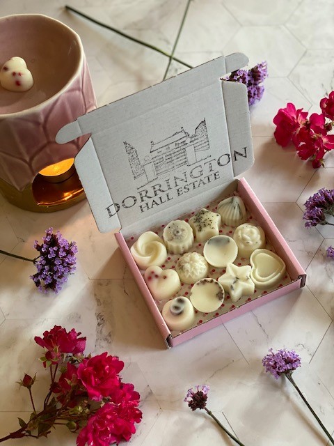 Signature Collection Botanical Soy Wax Melts