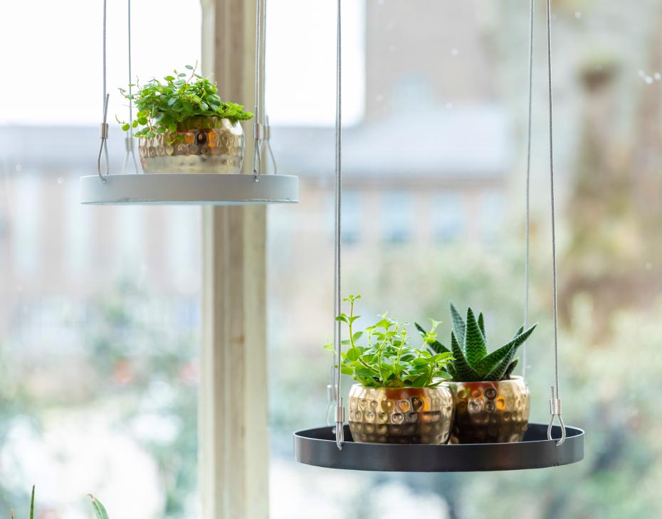 Round Hanging Trays