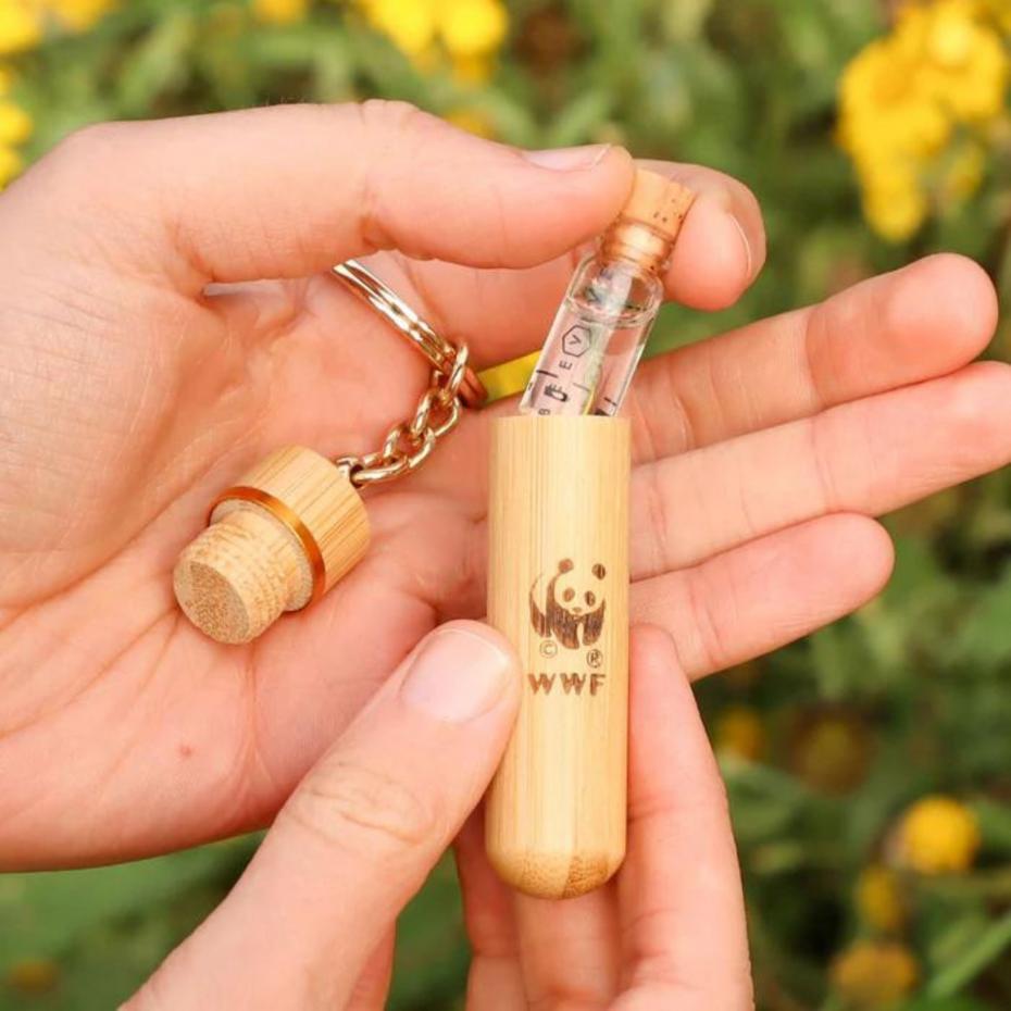 Bamboo Bee Revival Kit