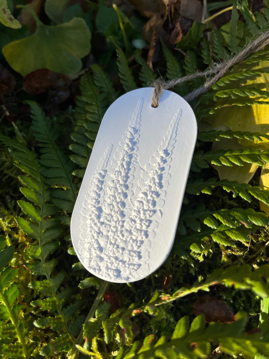 Sustainable Reusable Car Freshener