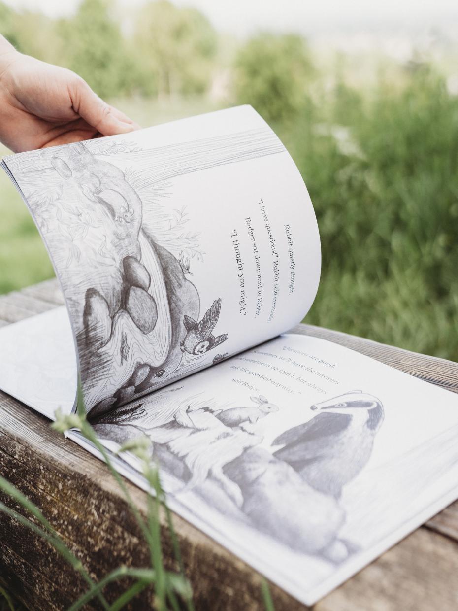 About Hedgehog children's book