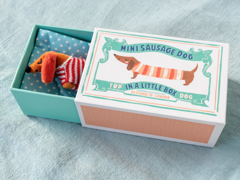 Mini sausage dog in a little box