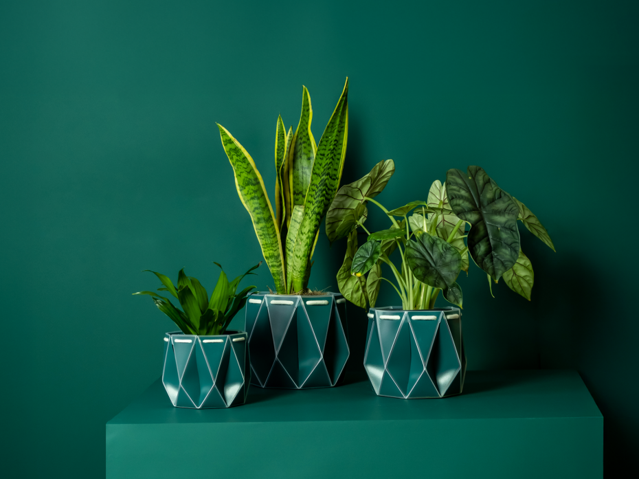 POTR Pot Dark Teal Family (11cm, 15cm + 18cm)