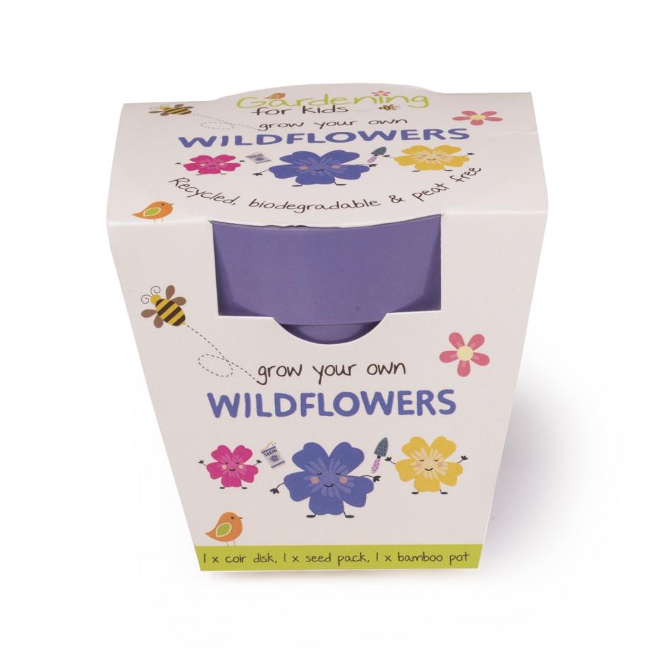 Children's Wildflower Growing Kit