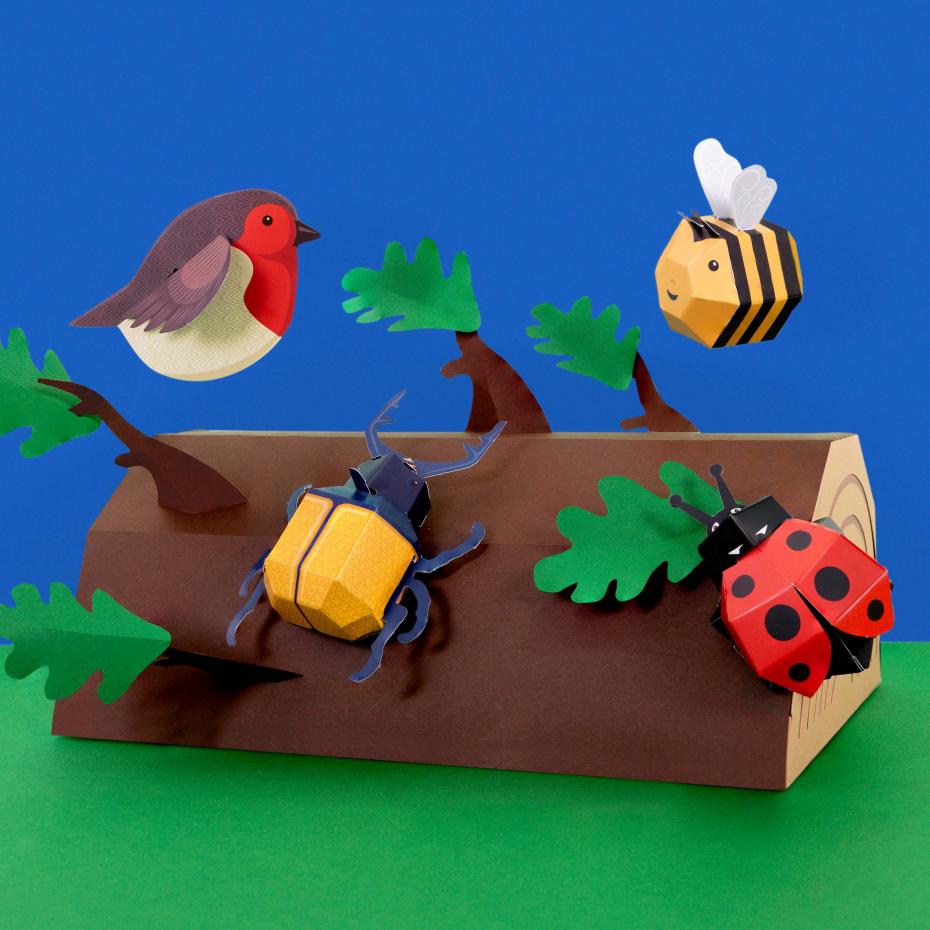 Birds, Bugs and Butterflies