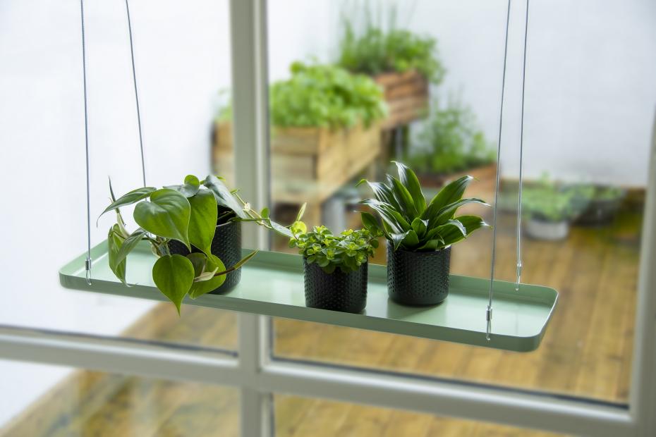 Rectangular Hanging Tray