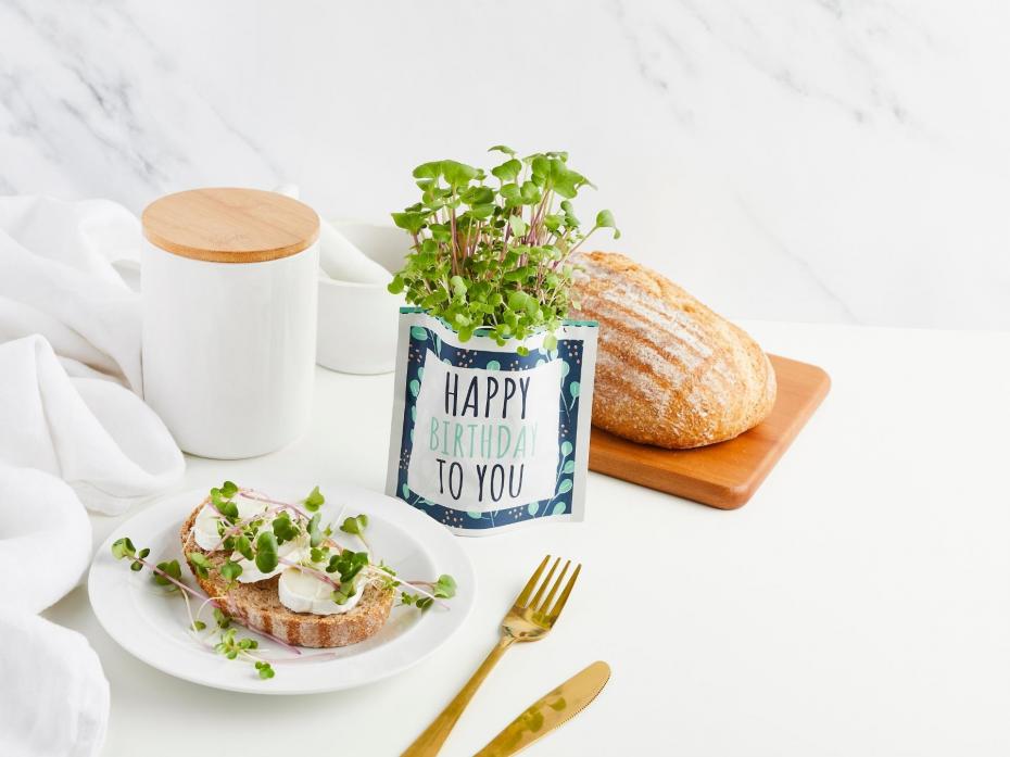 Happy Birthday Greens & Greetings. Grows a tasty microgreen salad.