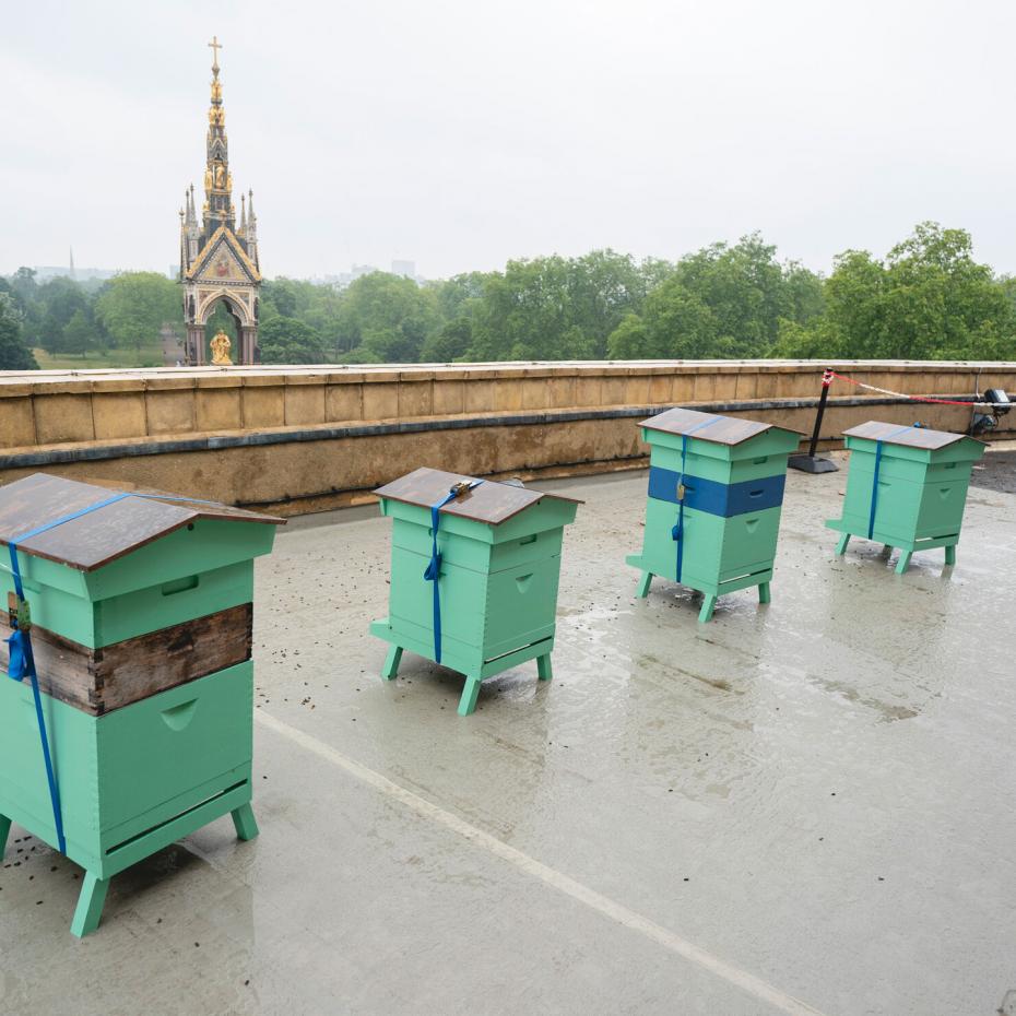 The original Inspiration for the Bees at the Hall Collection - Bees on the Roof of the Hall