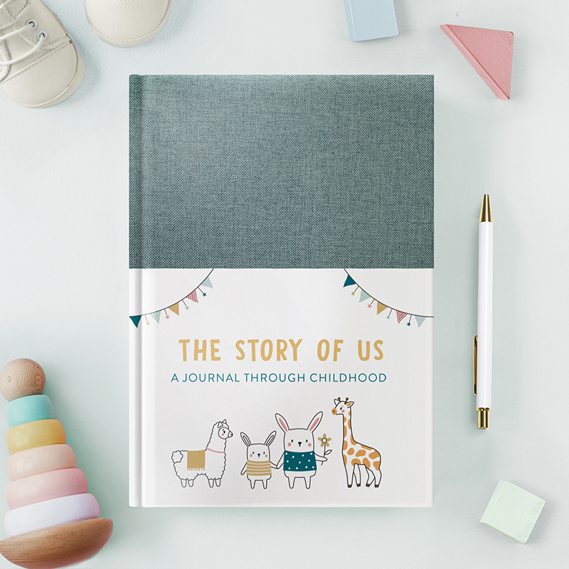 THE STORY OF US WITH BELLYBAND