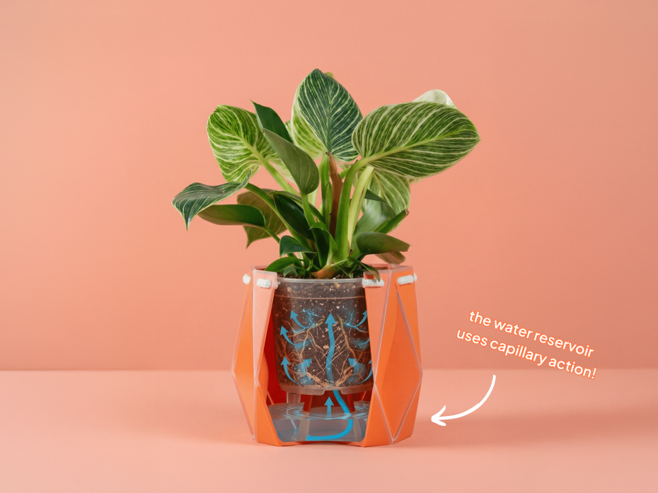 POTR Pot section cutaway