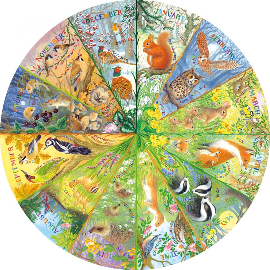 G3710	The Art File: Nature's Seasons (500 circ)