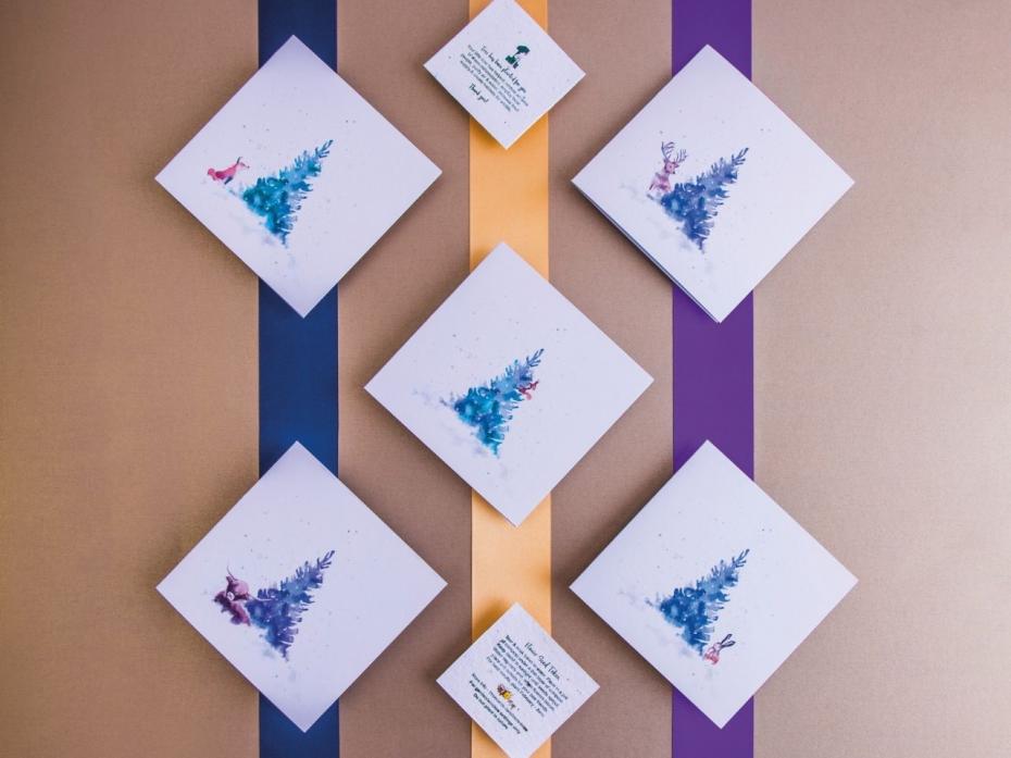 Tree Planting Cards - Tree Wishes Festive Box