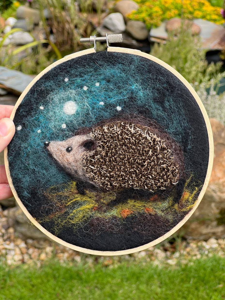 Hedgehog in a hoop
