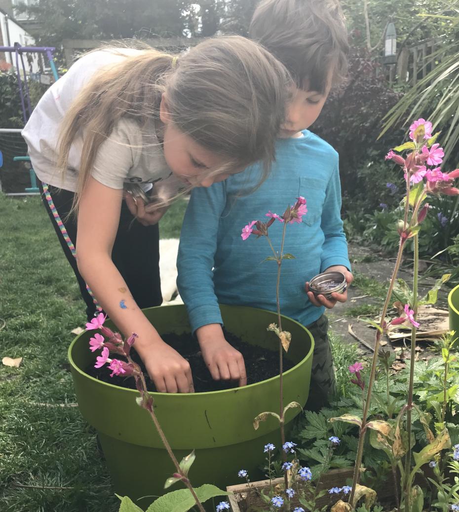 Children Scattering Seed Balls