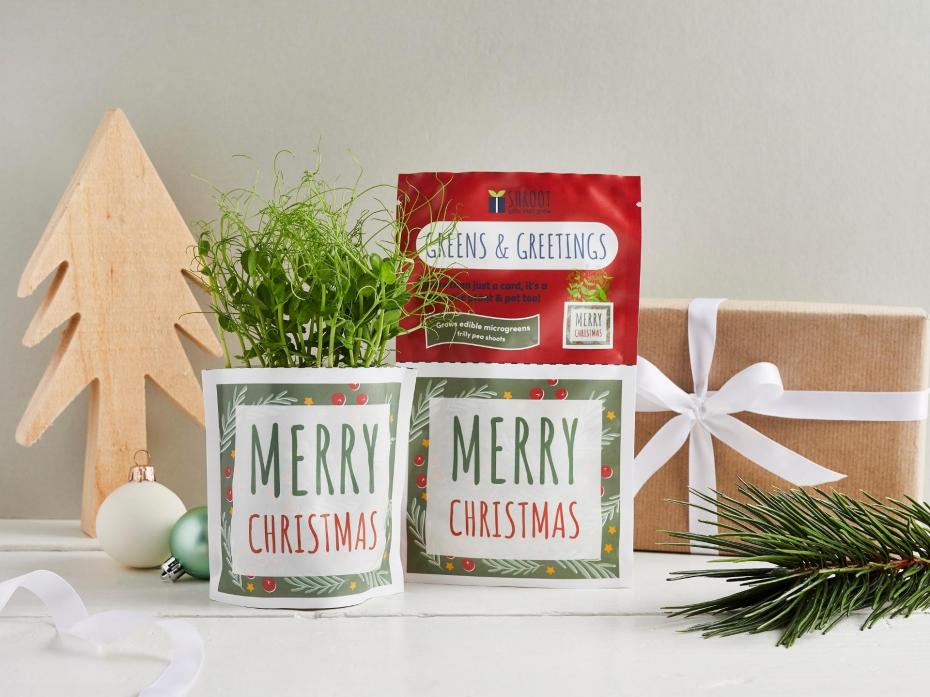 Merry Christmas Greens & Greetings