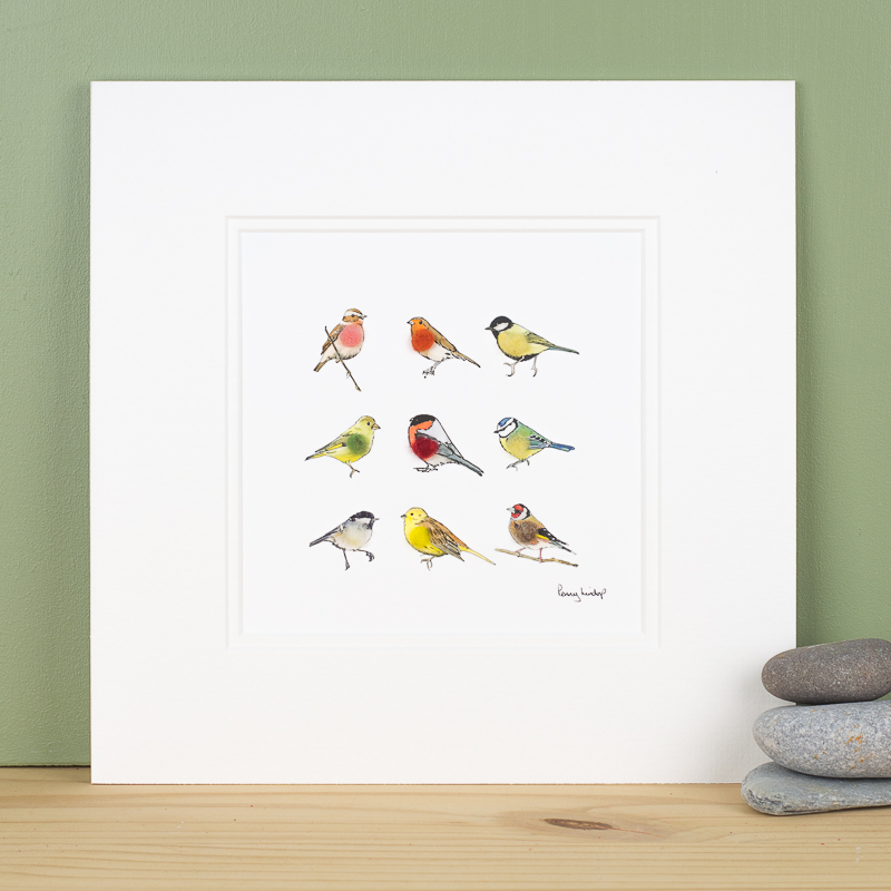 Square Garden Birds Print