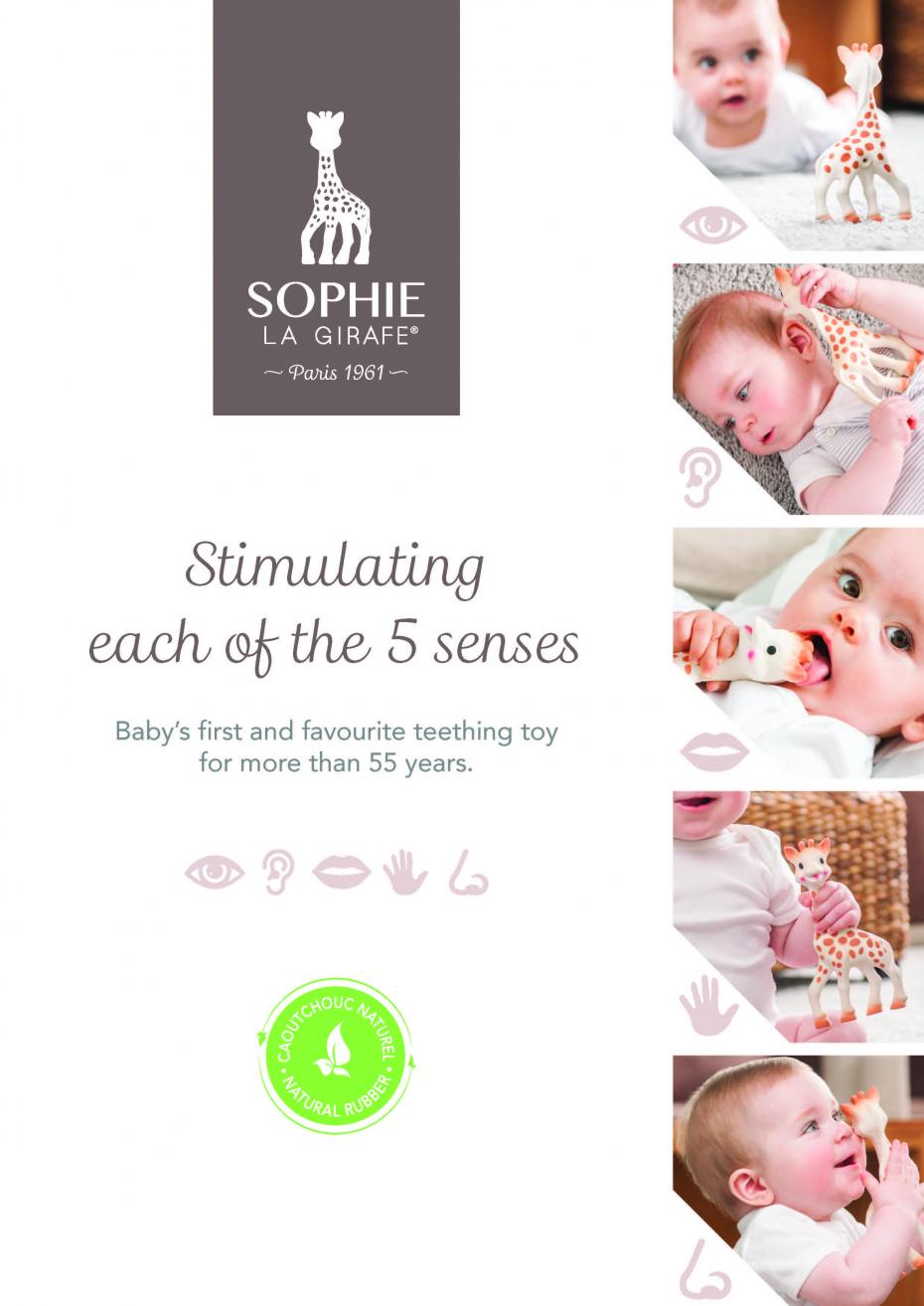 Stimulating the 5 senses