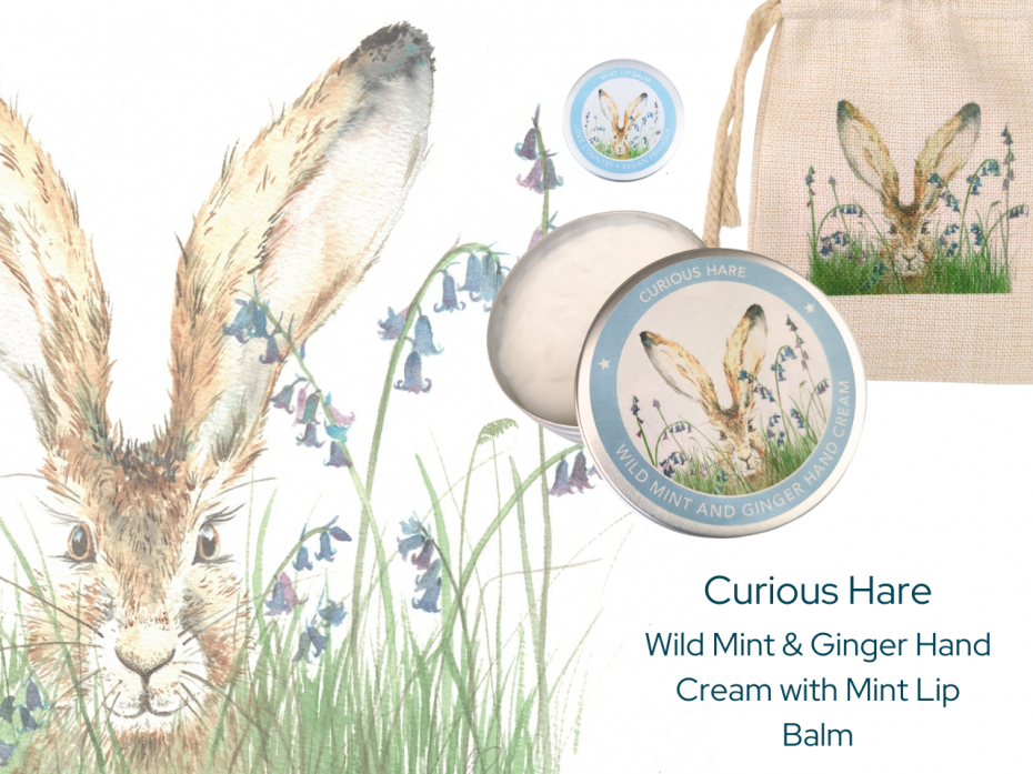 Curious Hare Beauty Gift Bag