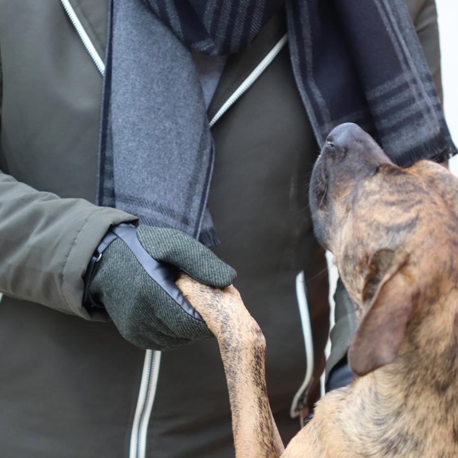 Men's RECYCLED Polyester Beanie hat/Men's Vegan leather Gloves/Men's 100% Viscose scarves