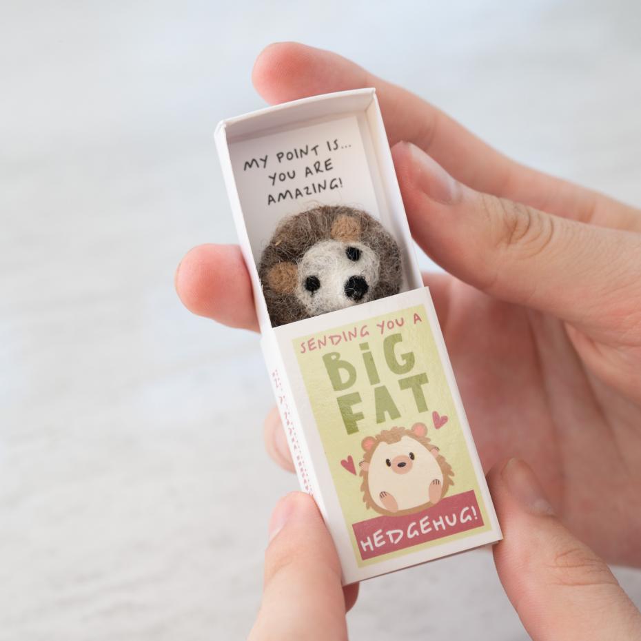 Sending You A Big Fat Hedgehug In A Matchbox