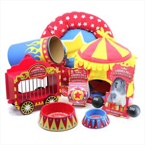 The HayPigs!® Guinea Pig Circus range