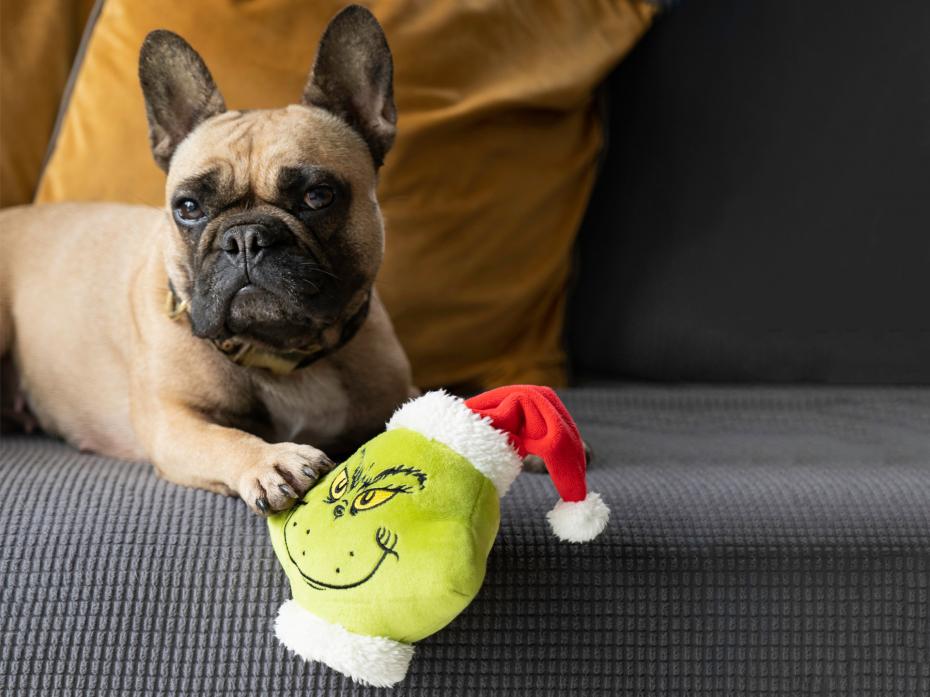 Grinch Pet Toys