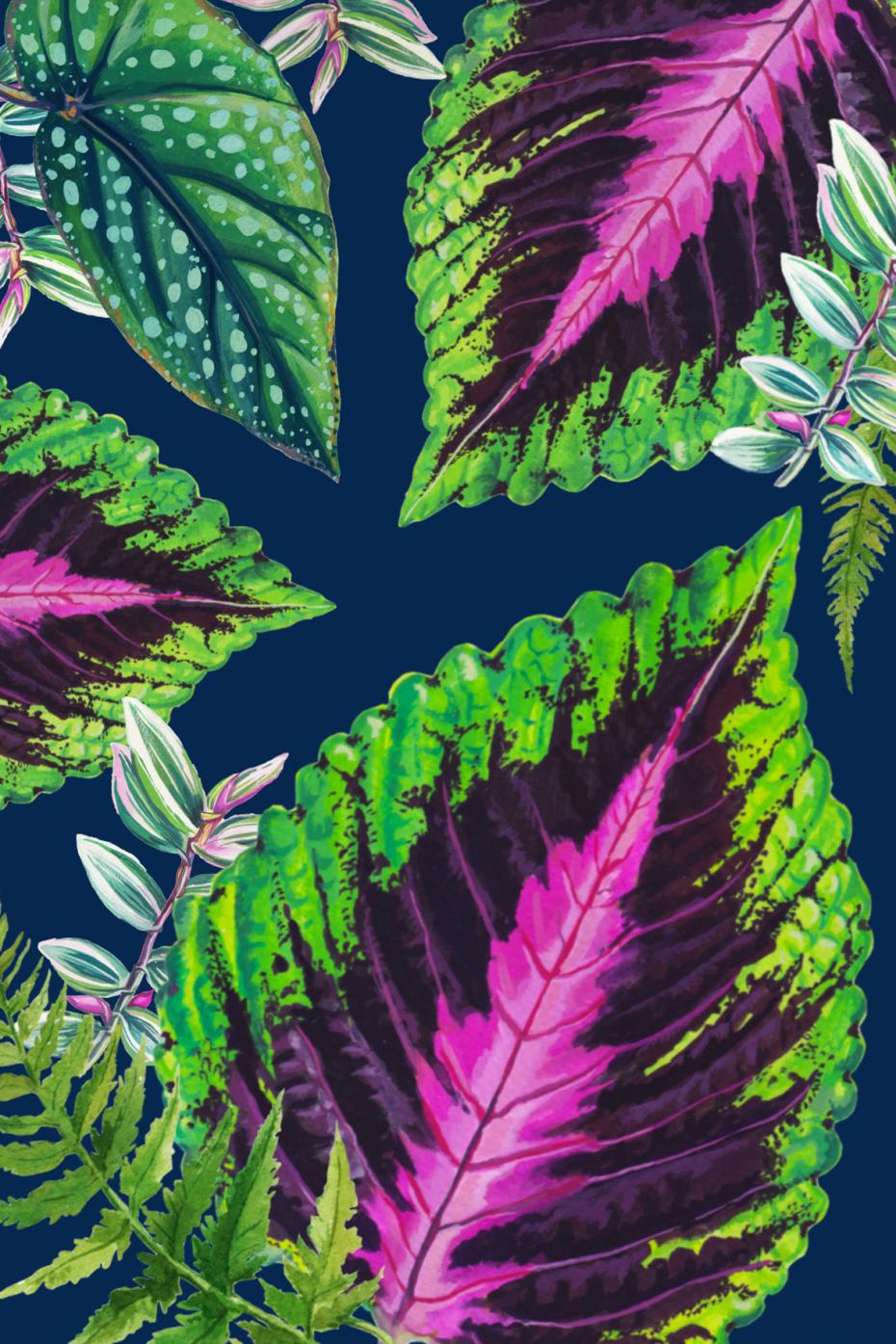Passion4Plants Print