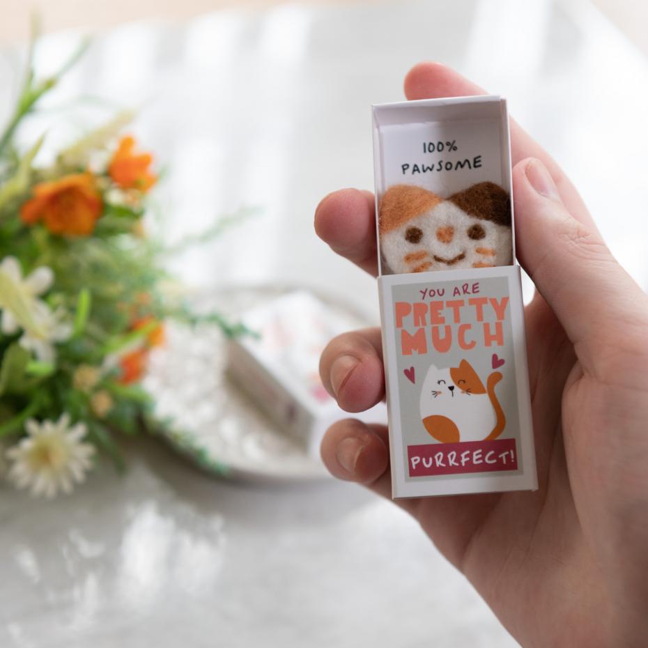You Are Pretty Much Purrfect In A Matchbox