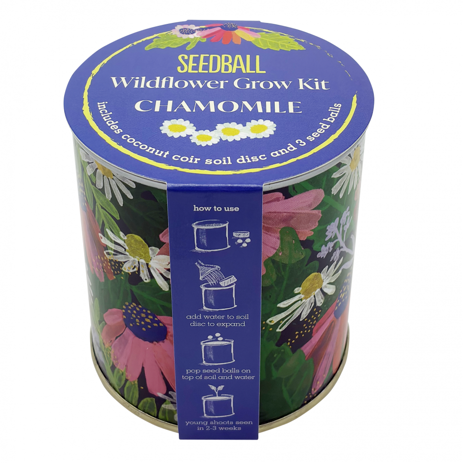Wildflower Grow Kit