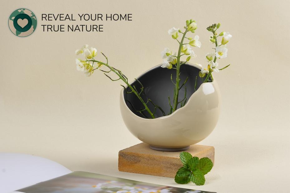 BosilunLife Elemental Harmony Mini Desktop Pot